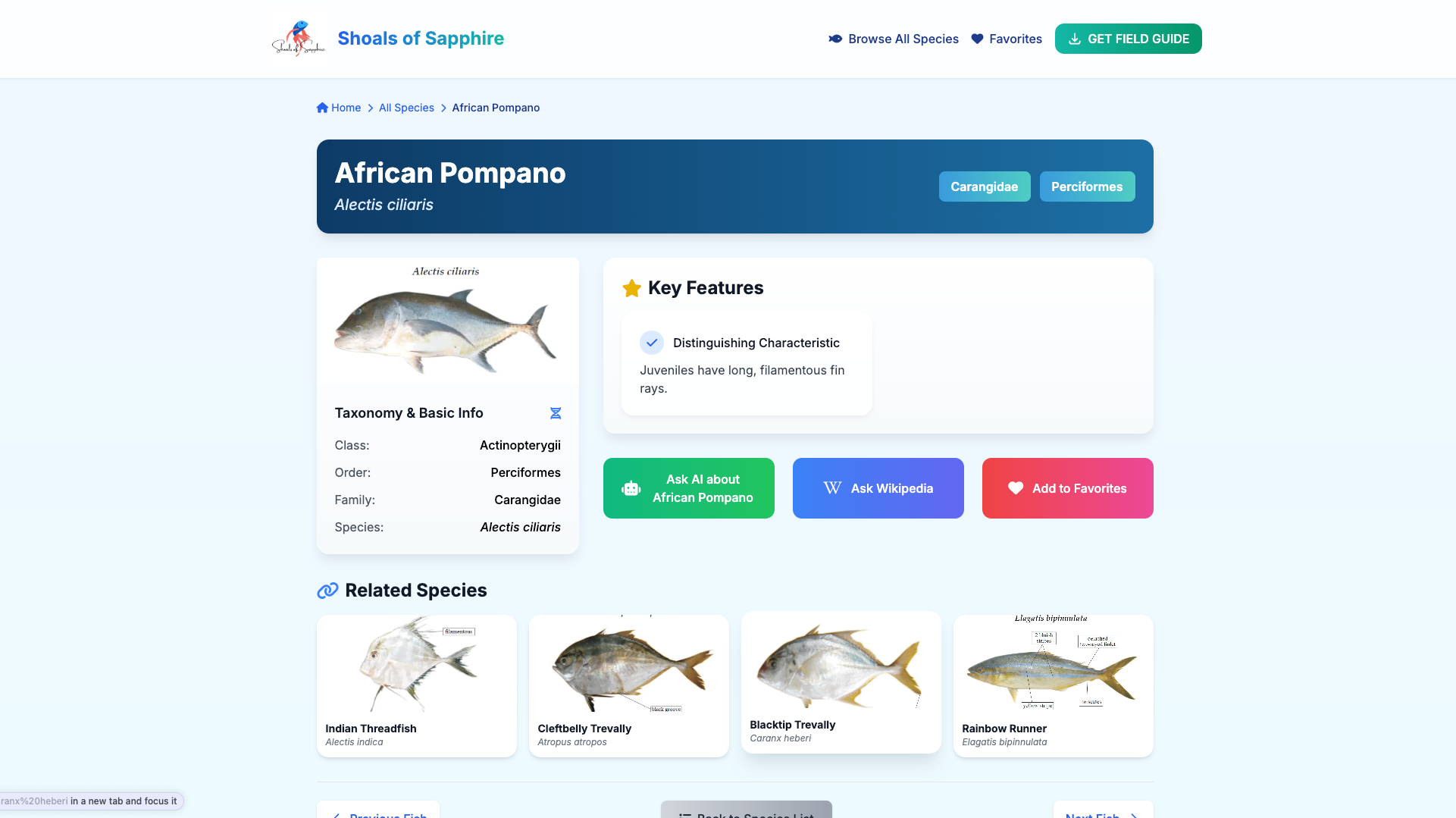 Marine Research Ecosystem Image 3